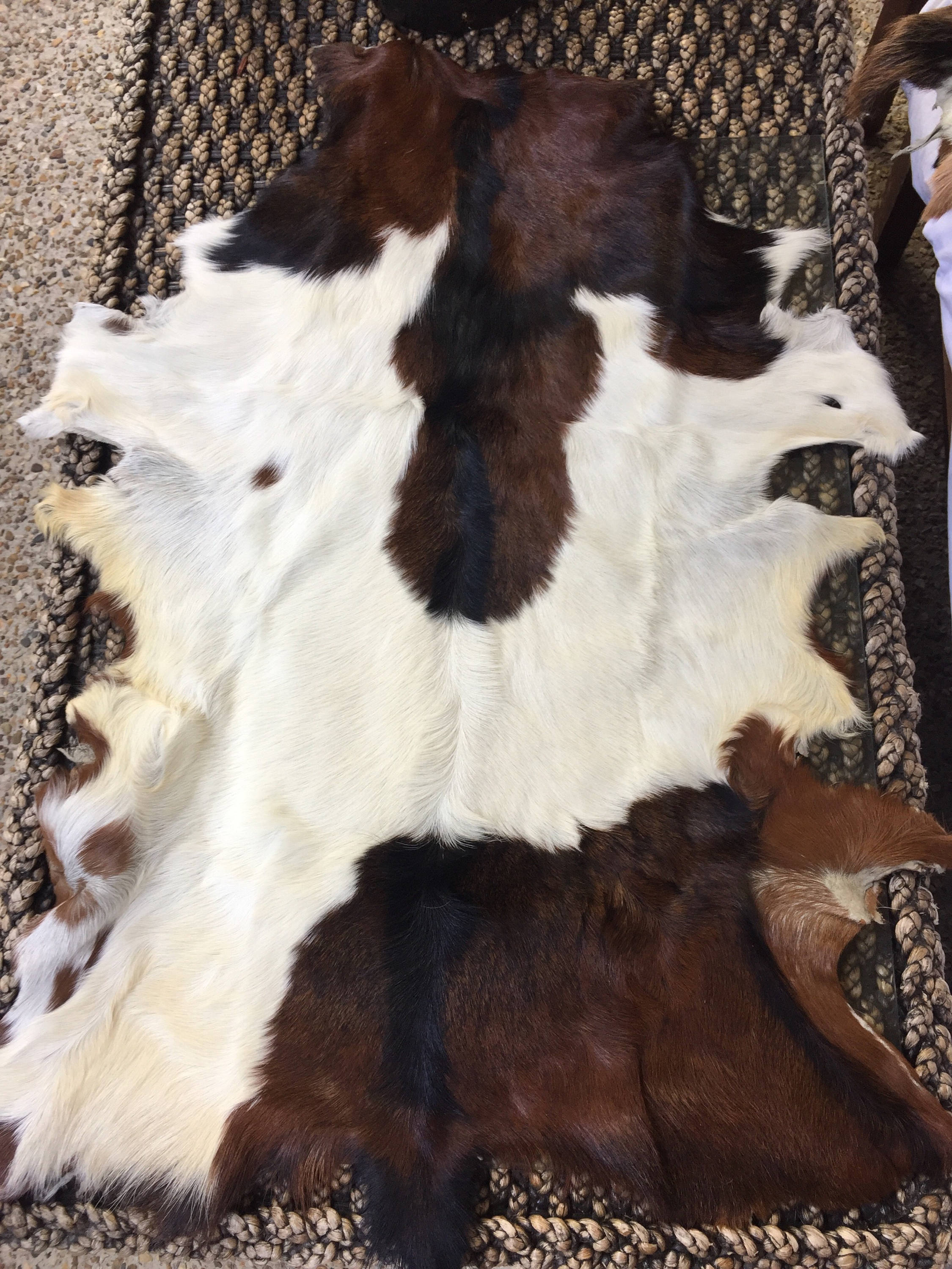 Goat hides gertyiv