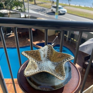 Starfish dish