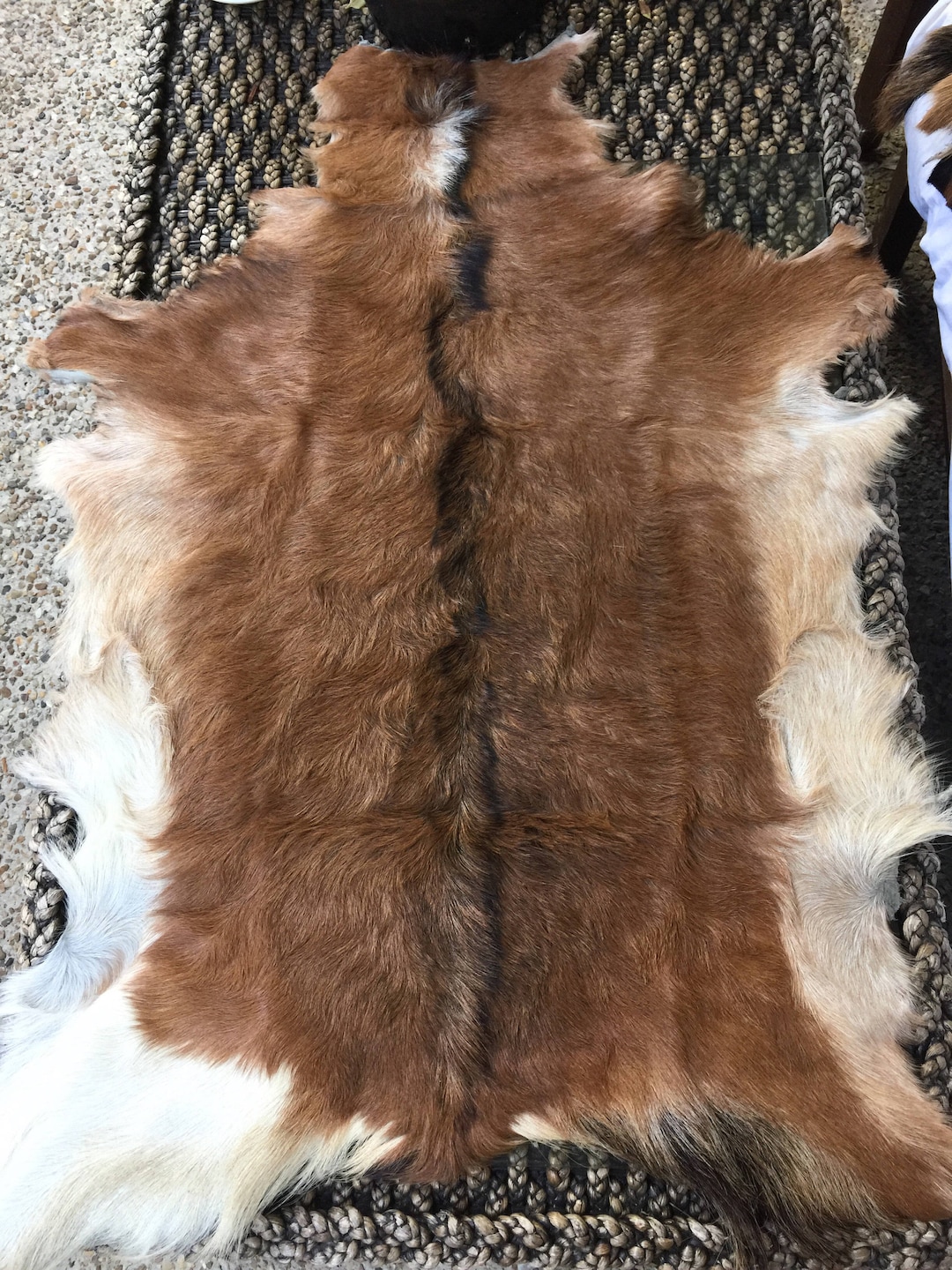 Genuine Goat Skins Etsy Australia