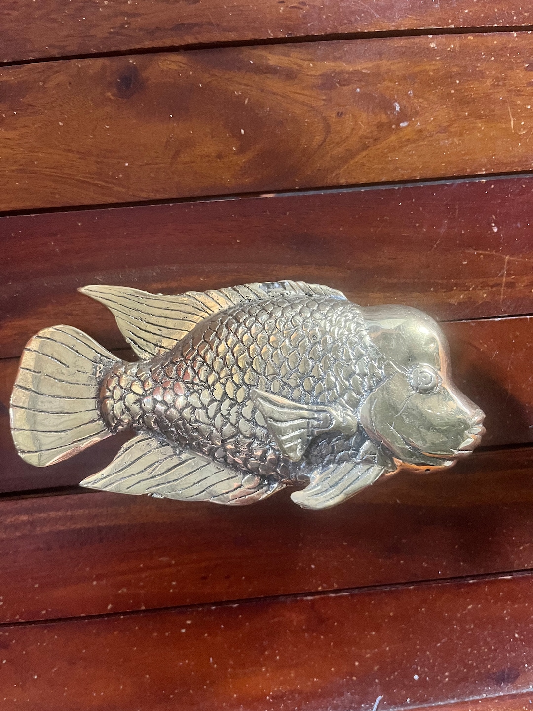 Brass Maori Wrasse Fish - Etsy
