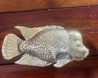 Brass maori wrasse fish