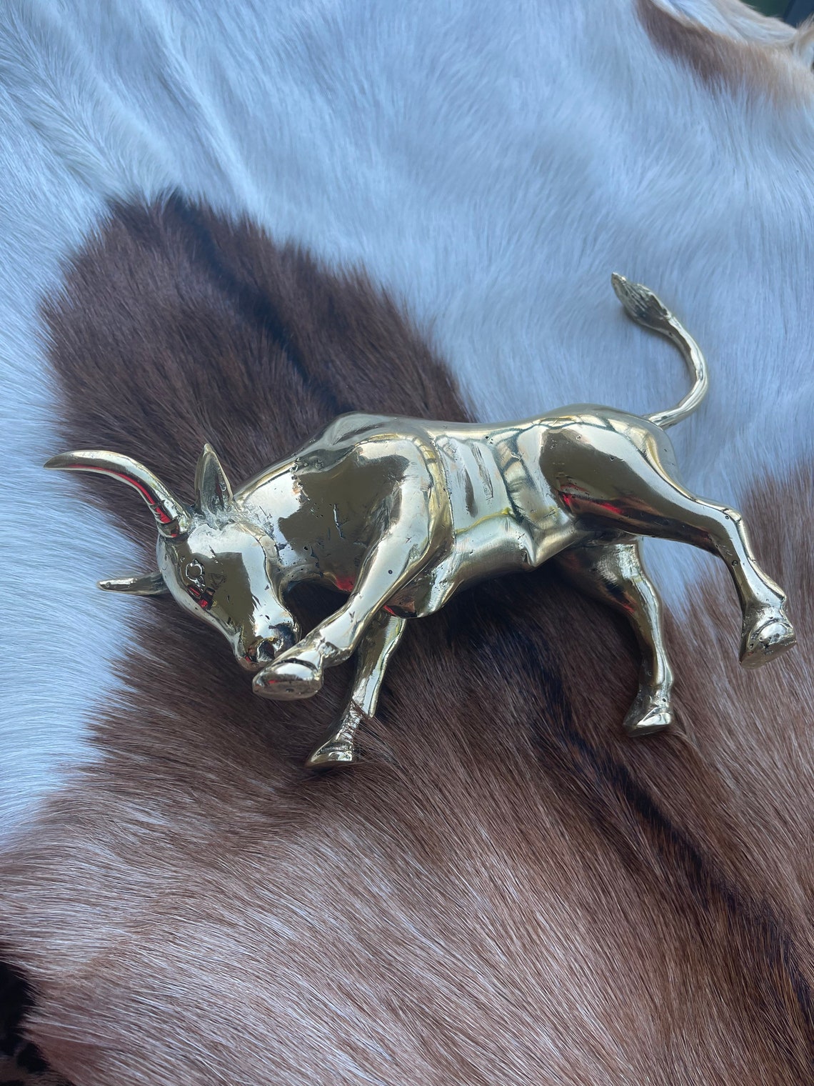 Taurus the bull Brass bull 25 cm x 10 cm. Etsy