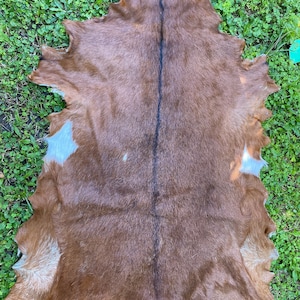 Goat skin