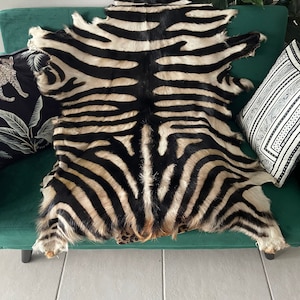 Puede incluir: Una alfombra de piel de cebra en blanco y negro con un aspecto natural ligeramente desgastado. La alfombra está colocada sobre un sofá verde con cojines de estampado blanco y negro.