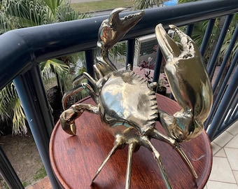 Brass mud crab