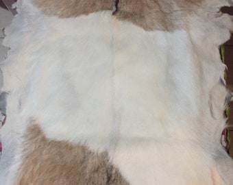 Goat skin