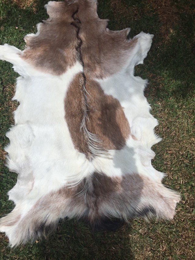 tanned goat hides tanned goat hides