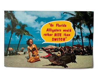 Vintage Florida Postcard Alligator and Bikini Girl Unused Post Card