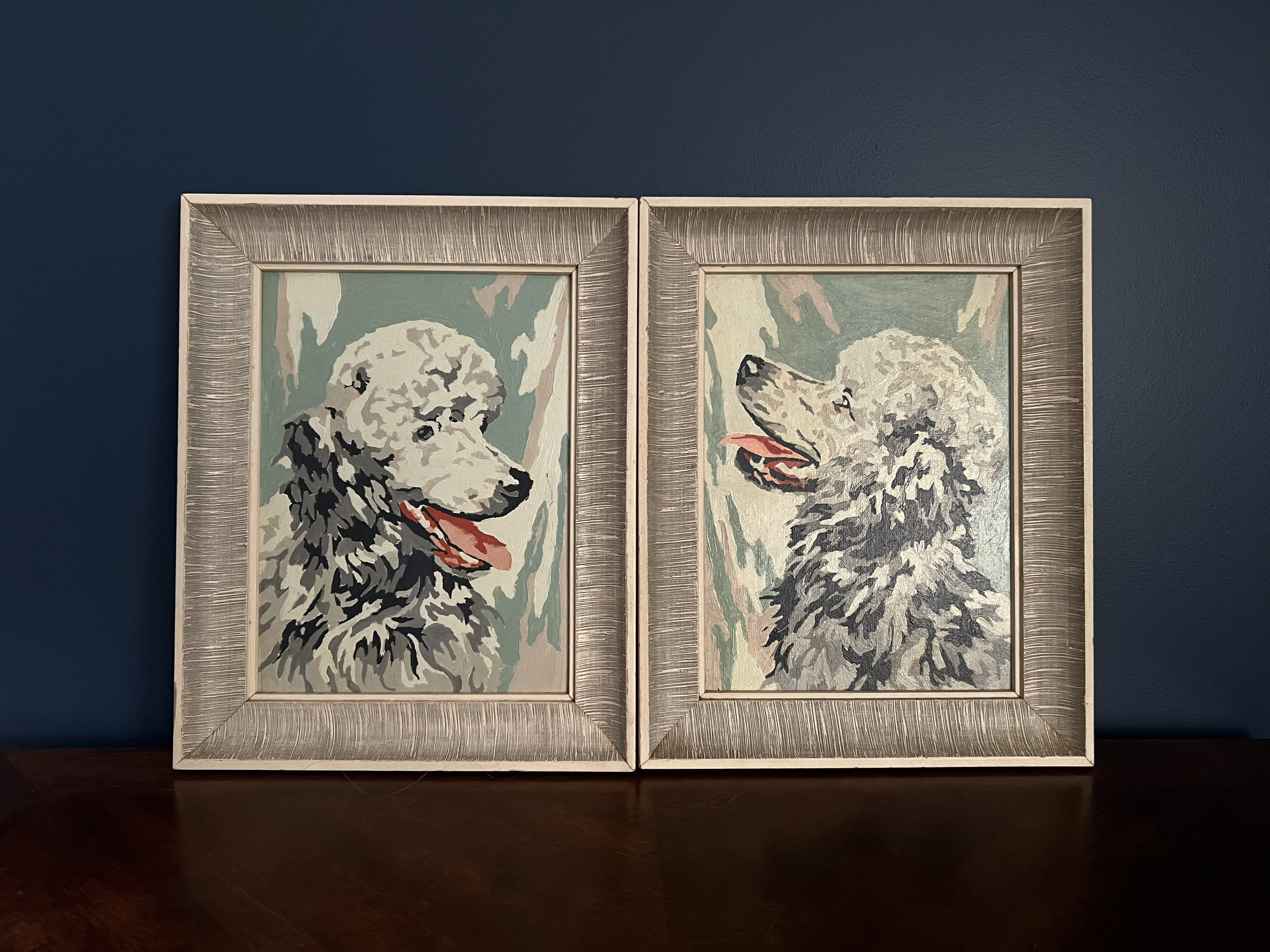 Colourful Dog - Diamond Art 30x40cm 45pcs - Paint My Numbers
