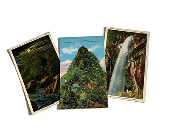 Vintage Postcards Great Smoky Mountains National Park Unused