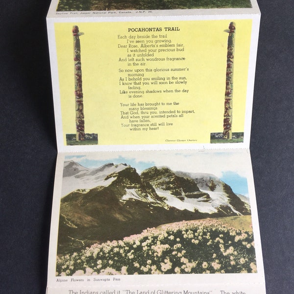 Vintage Jasper National Park Postcard  Folder Alberta Canada Souvenir Accordion Fold Out