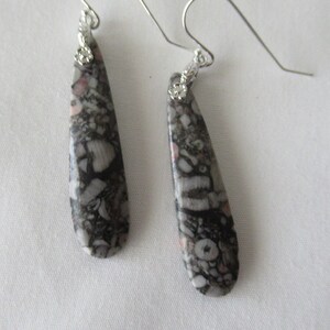 Crinoid fossil earrings.  Black earrings. Long black earrings.