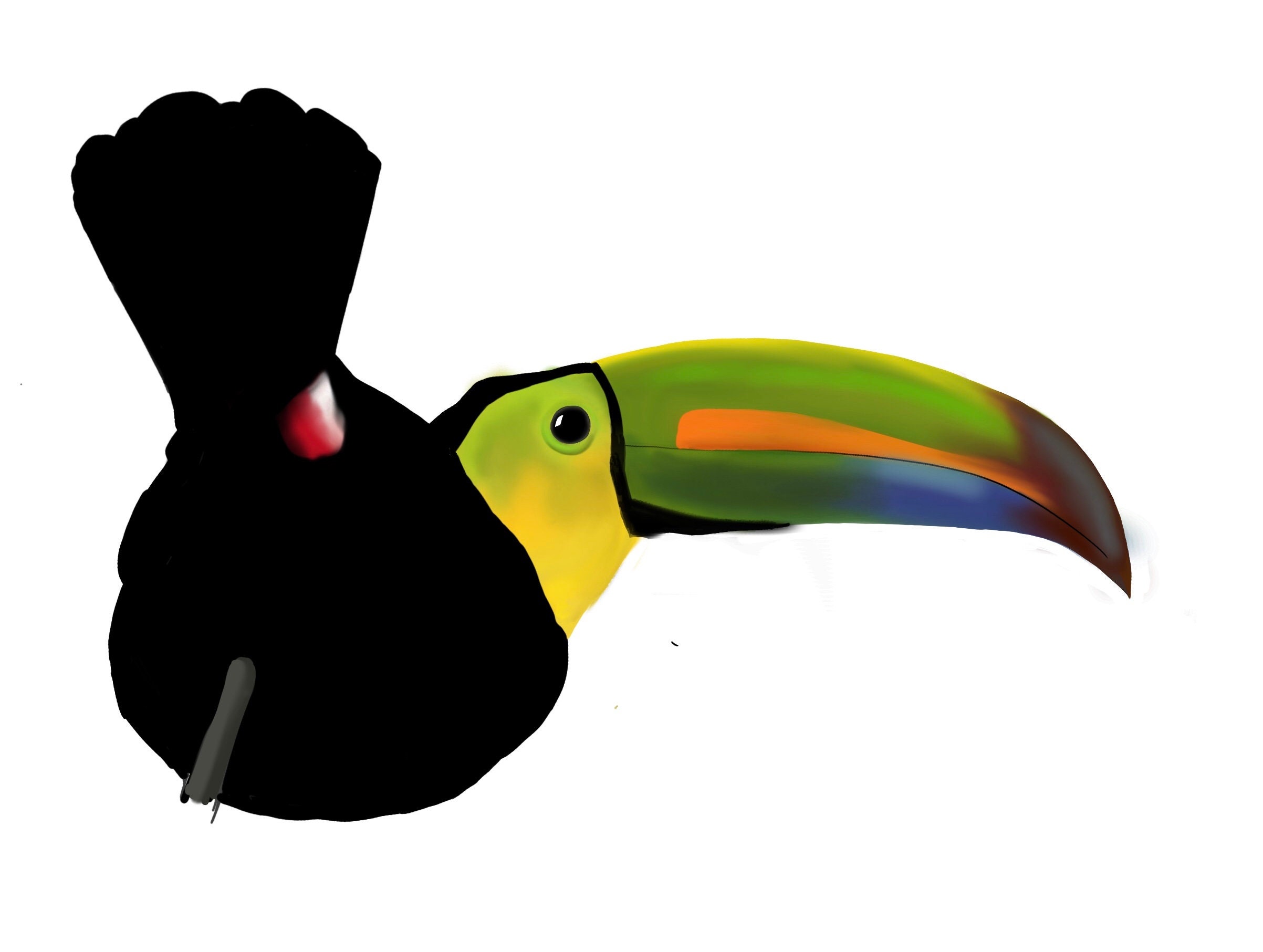 日本未入荷-2サイズ♪タペストリーアート - Keel Billed Toucan Keel-Billed Toucan Limited Edition Print 8.5x11 Watercolor
