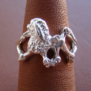 Anillo de estudio en plata de ley con caniche en movimiento