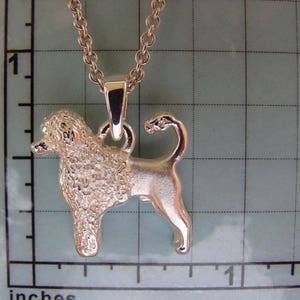 Puede incluir: Collar con colgante de plata con un encanto de perro de agua portugu&eacute;s plateado, texturizado y detallado. El perro est&aacute; de pie con la cola enroscada.