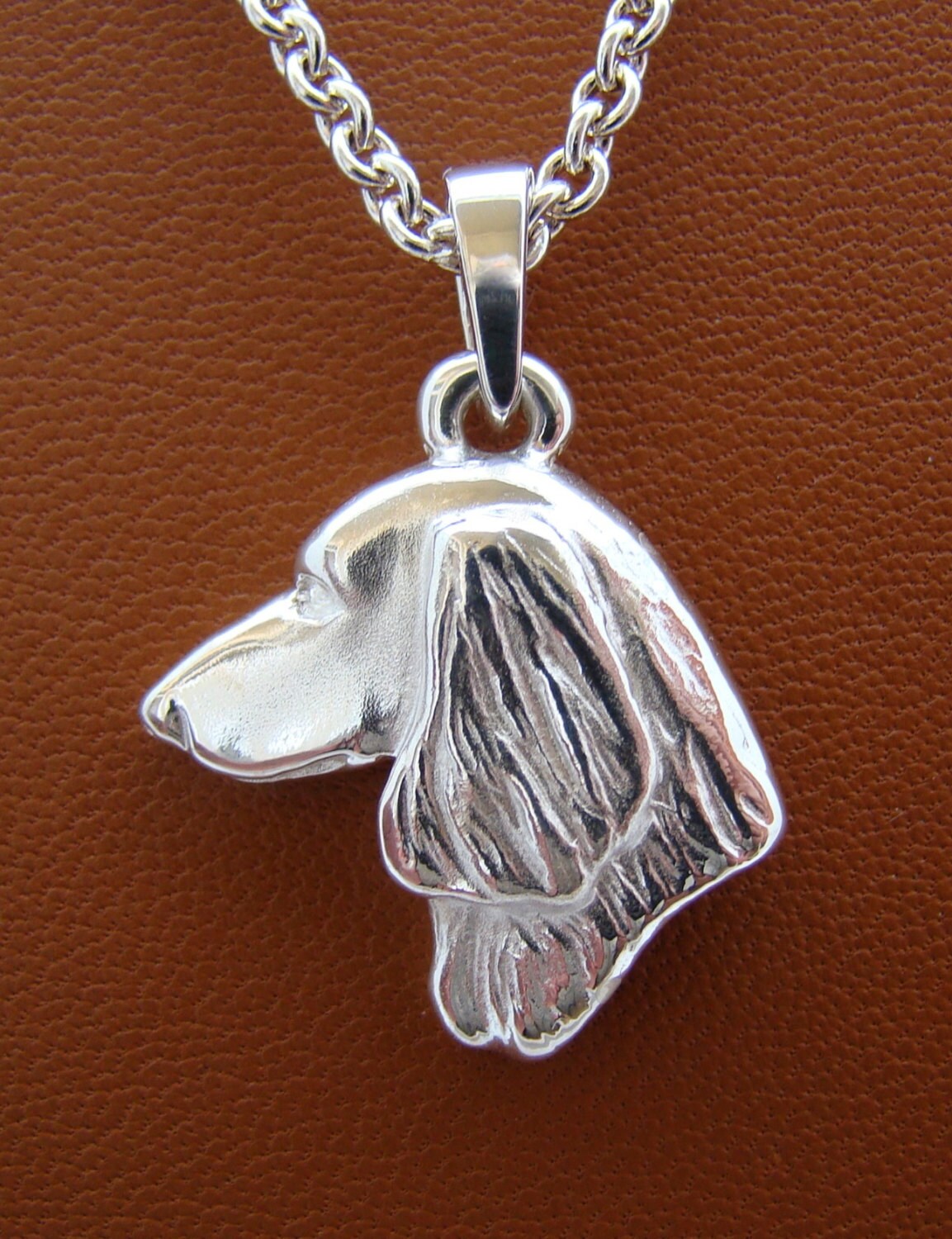 silver long haired dachshund