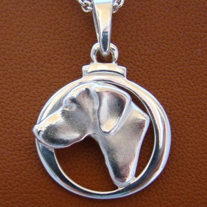 Op de afbeelding: Een zilveren hangerketting met een profiel van een hondenhoofd in een cirkelvormig frame. De hanger hangt aan een fijne zilveren ketting. Het hondenhoofd heeft een gladde, gepolijste afwerking.