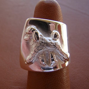 Anillo/banda de estudio en movimiento de caniche de plata esterlina