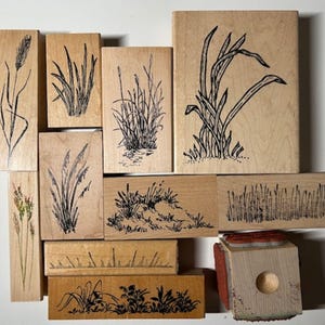 May include: A collection of wooden stamps featuring botanical illustrations of grasses and plants. The stamps vary in size and shape, with detailed black ink drawings of various grass species. Some stamps have a natural wood finish.