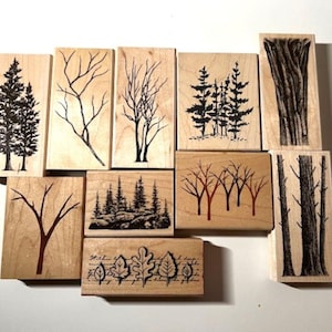 May include: A collection of wooden stamps featuring various tree and foliage designs. The stamps include images of pine trees, bare branches, and leaf patterns, all in black ink on rectangular wooden blocks.