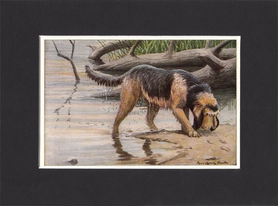 OTTERHOUND DOGS AT WORK LOVELY DOG PRINT MOUNTED READY TO FRAME
