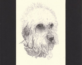 Dandie Dinmont Terrier Vintage Dog Print C.Francis Wardle 1935 Drawing Print Mounted with Mat Dandie Print Dandie Dinmont Print