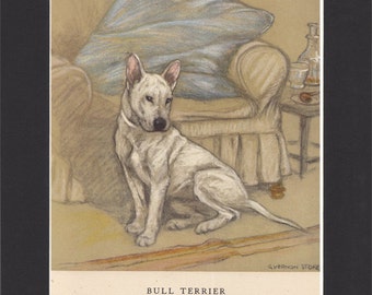 Bull Terrier Vintage Dog Print George Vernon Stokes 1947 Bookplate Drawing Mounted with Black Mat Bull Terrier Print Terrier Picture