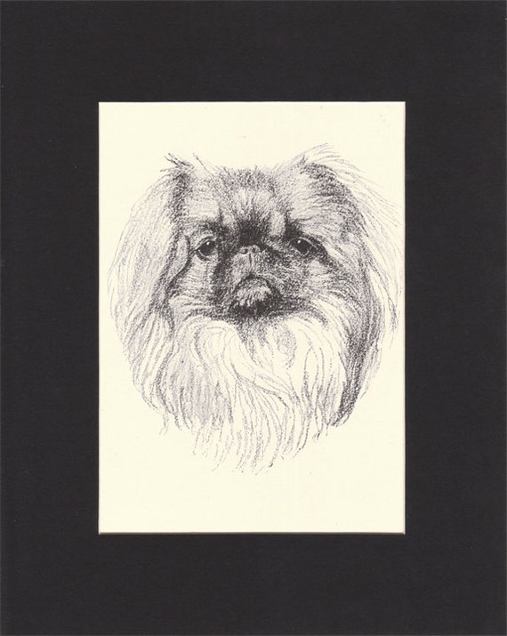 PEKINGESE LITTLE DOGS IN A BASKET CHARMING DOG PRINT MOUNTED READY TO FRAME