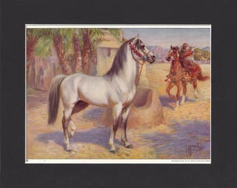 Arab Horse Print 1923 By Edward Miner Print of Signed Painting Mounted with Mat - Arabian Horse Print Arab Print Arabian Print