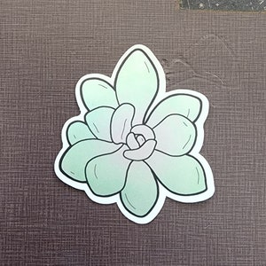 Succulent holographic sticker, Laptop Decal, Bumper sticker, car sticker, tumbler decal
