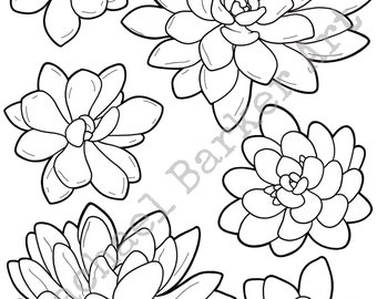 Succulent flower line drawing PNG digital download cricut glowforge