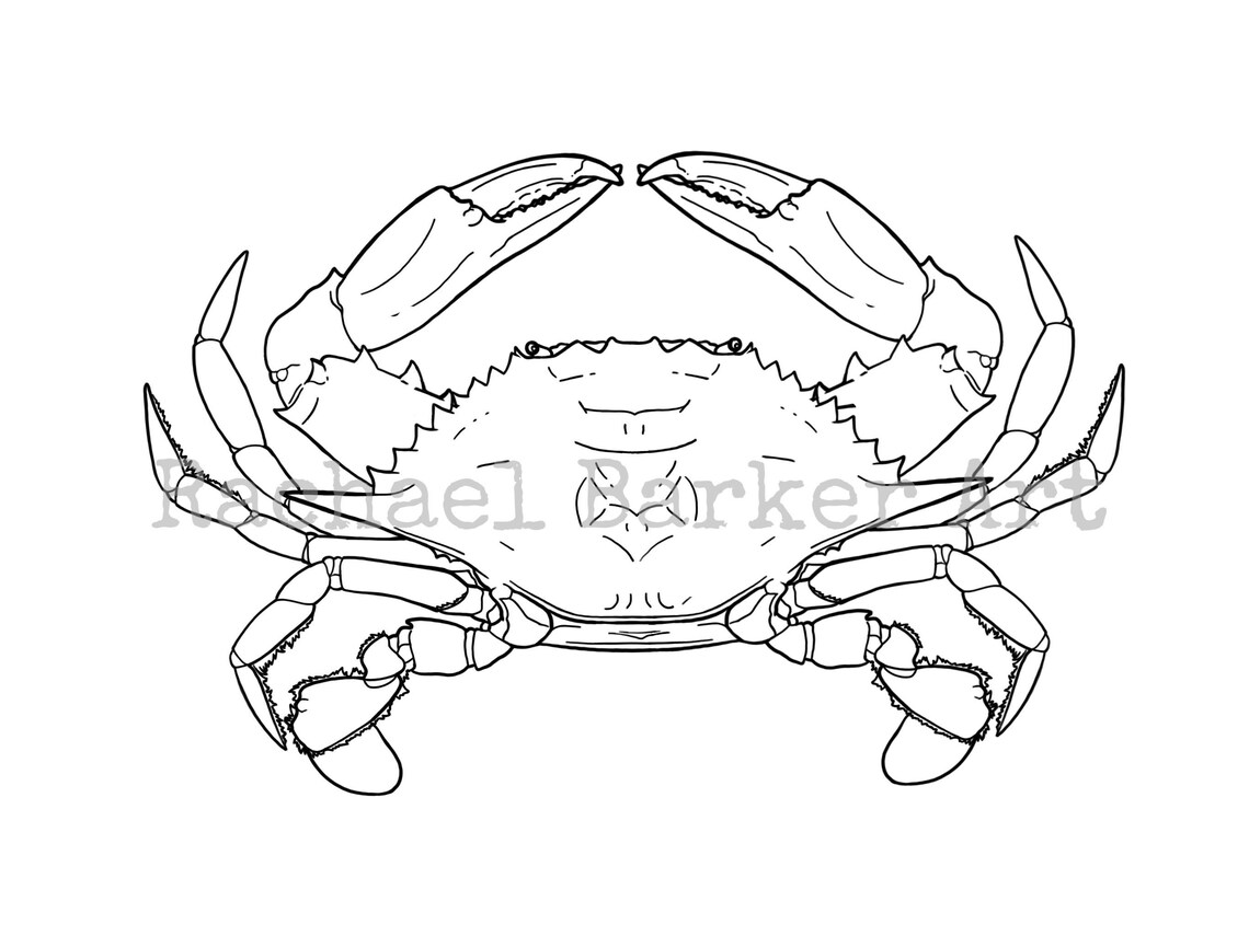 Maryland Blue Crab Line Drawing PNG Digital Download Cricut Glowforge - Etsy