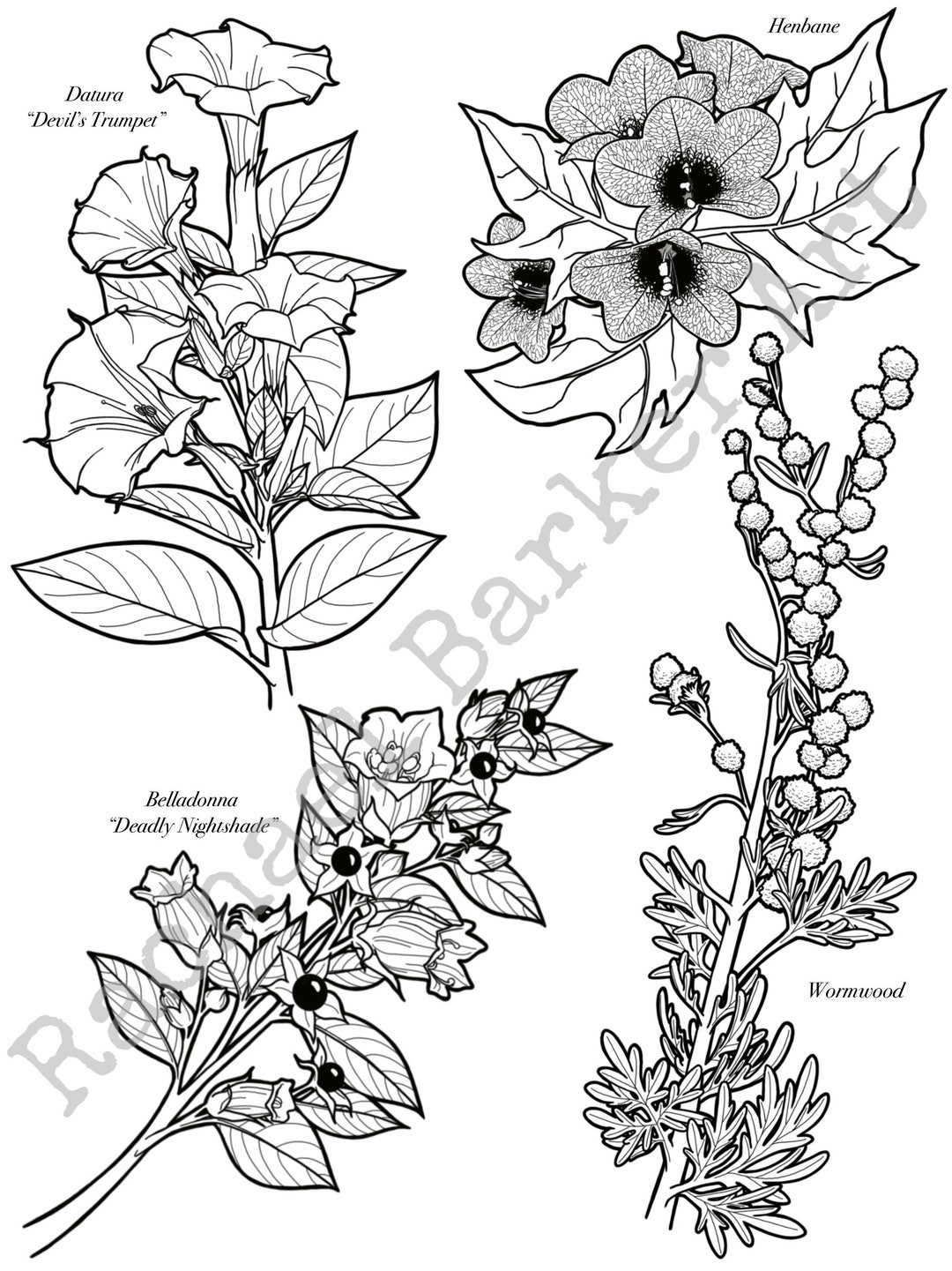 Deadly Flowers Line Drawing PNG Digital Download Cricut Etsy