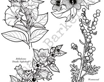 Deadly Flowers line drawing PNG digital download cricut glowforge