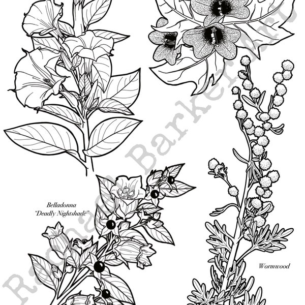 Deadly Flowers line drawing PNG digital download cricut glowforge