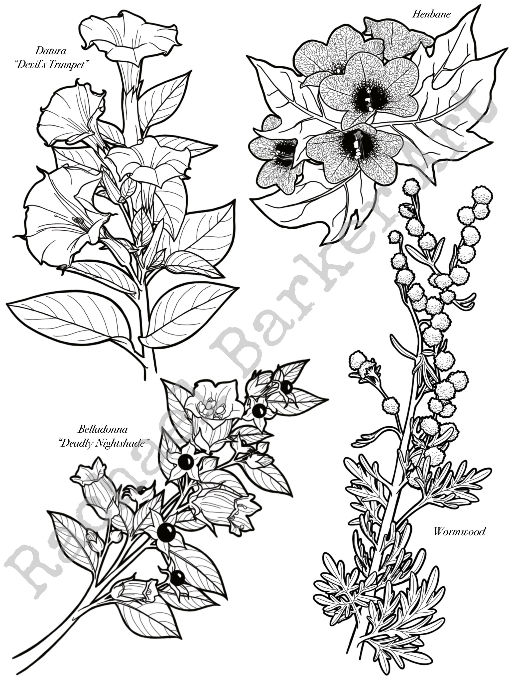 Deadly Flowers line drawing PNG digital download cricut glowforge