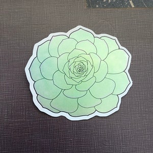 Succulent holographic sticker, Laptop Decal, Bumper sticker, car sticker, tumbler decal