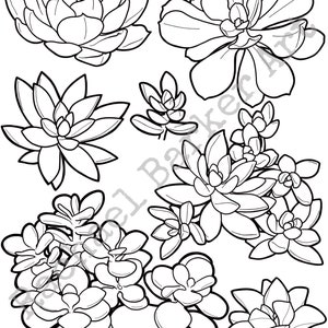 Succulent flower line drawing PNG digital download cricut glowforge
