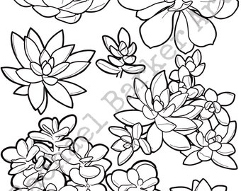 Succulent flower line drawing PNG digital download cricut glowforge