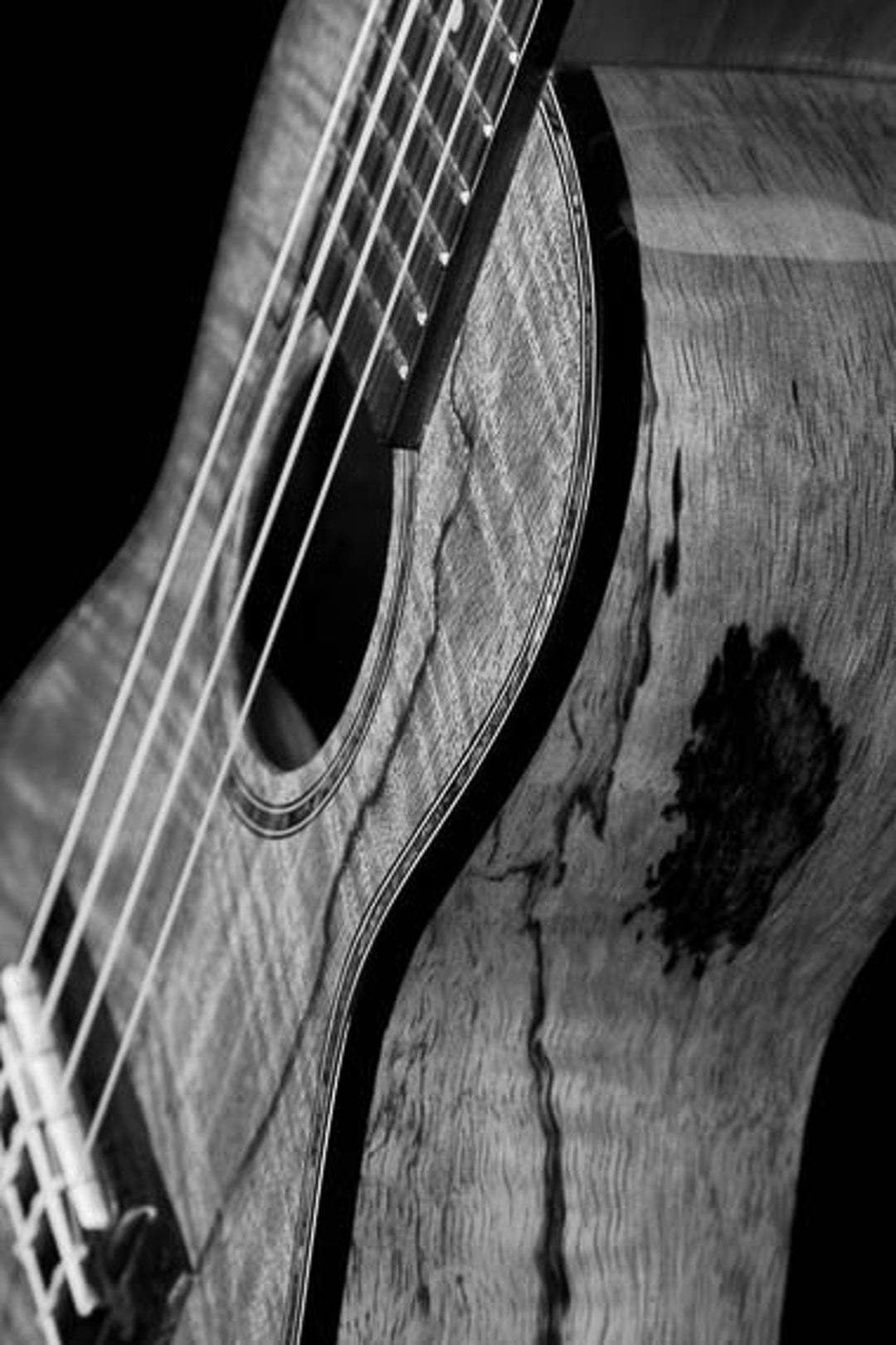 Ukulele Wall Art Fine Art Photography Black and White Wall Etsy