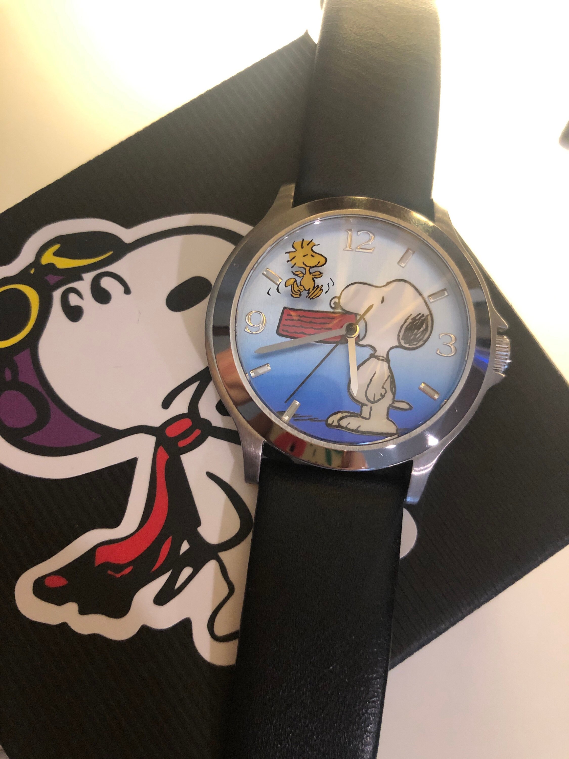 Rare Fossil Snoopy Watch New Battery 
