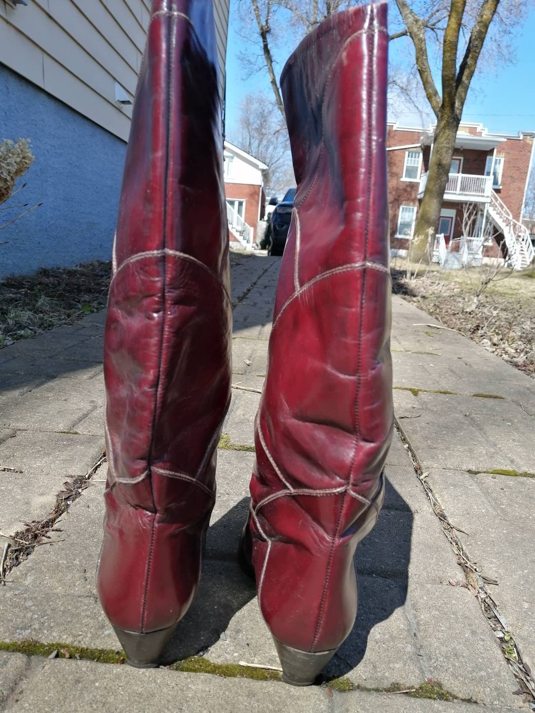 Vintage 80s Charles David Vintage Boots 