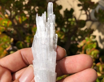 Large Clear Scolecite Spray from India. Zeolite crystal spray with a smaller crystal cluster at the tip of the main crystal.