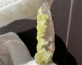 Impossible Neon Green Wavellite Crystal Spraying Clusters on top of a Tabby Quartz. Rare Crystal Specimen.