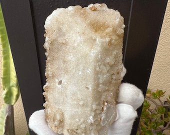 Large Danburite Crystal with a Druzy Calcite and Quartz Growths from Charcas, San Luis Potosí, Mexico.