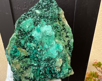 Large Self Standing Atacamite on Gem Silica from the Atacama Desert in Chile.