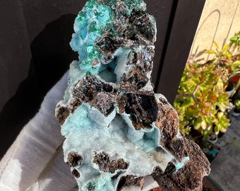 Large Druzy Coated Chrysocolla with Azurite Paeudomorphs, Rare Green Dioptase,  Exotic, Raw Cluster Gem, Cabinet Specimen from DRC, Africa