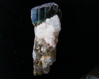 Bi-Colored Tourmaline Scepter with Elestial Phantom Quartz, Collector Specimen
