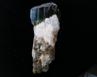 Large Tourmaline Scepter with Tabby Elestial Phantom Quartz growth and Mica Books, Old Stock, Ultra Rare one in a million Specimen