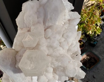 Large Candle Quartz Crystal. Rare Cabinet Specimen Crystal. Raw Cluster from Madagascar. Elestial, Reiki, Gemstones.